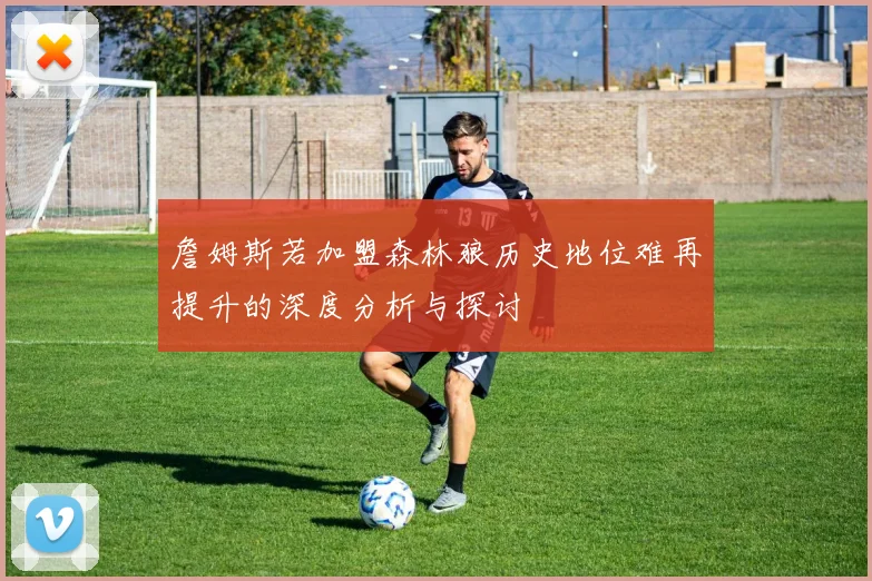 詹姆斯若加盟森林狼历史地位难再提升的深度分析与探讨