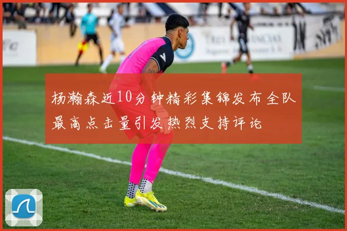 杨瀚森近10分钟精彩集锦发布全队最高点击量引发热烈支持评论