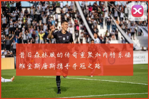 昔日森林狼的传奇重聚加内特乐福维金斯唐斯携手夺冠之路