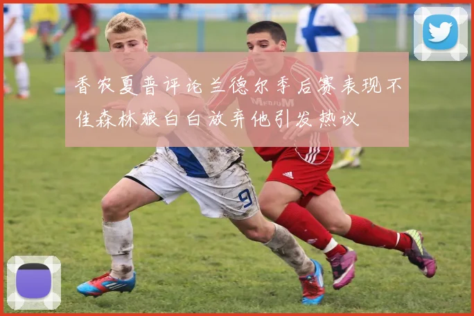 香农夏普评论兰德尔季后赛表现不佳森林狼白白放弃他引发热议