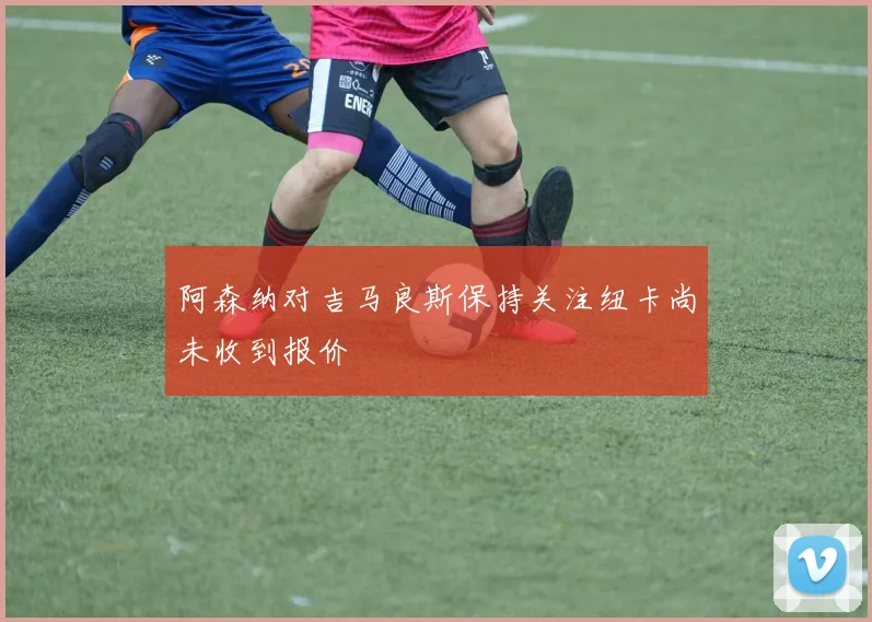 阿森纳对吉马良斯保持关注纽卡尚未收到报价